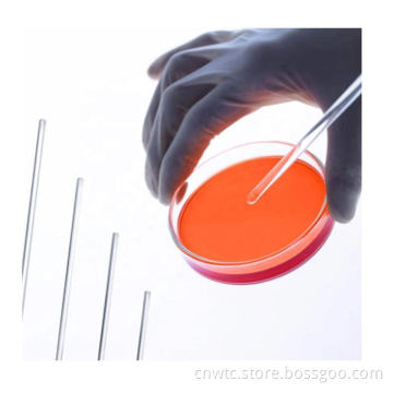 Borosilicate Stirring Rods: Clear Glass Stir Sticks for Lab Use